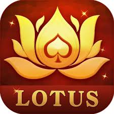 rummy status latest download